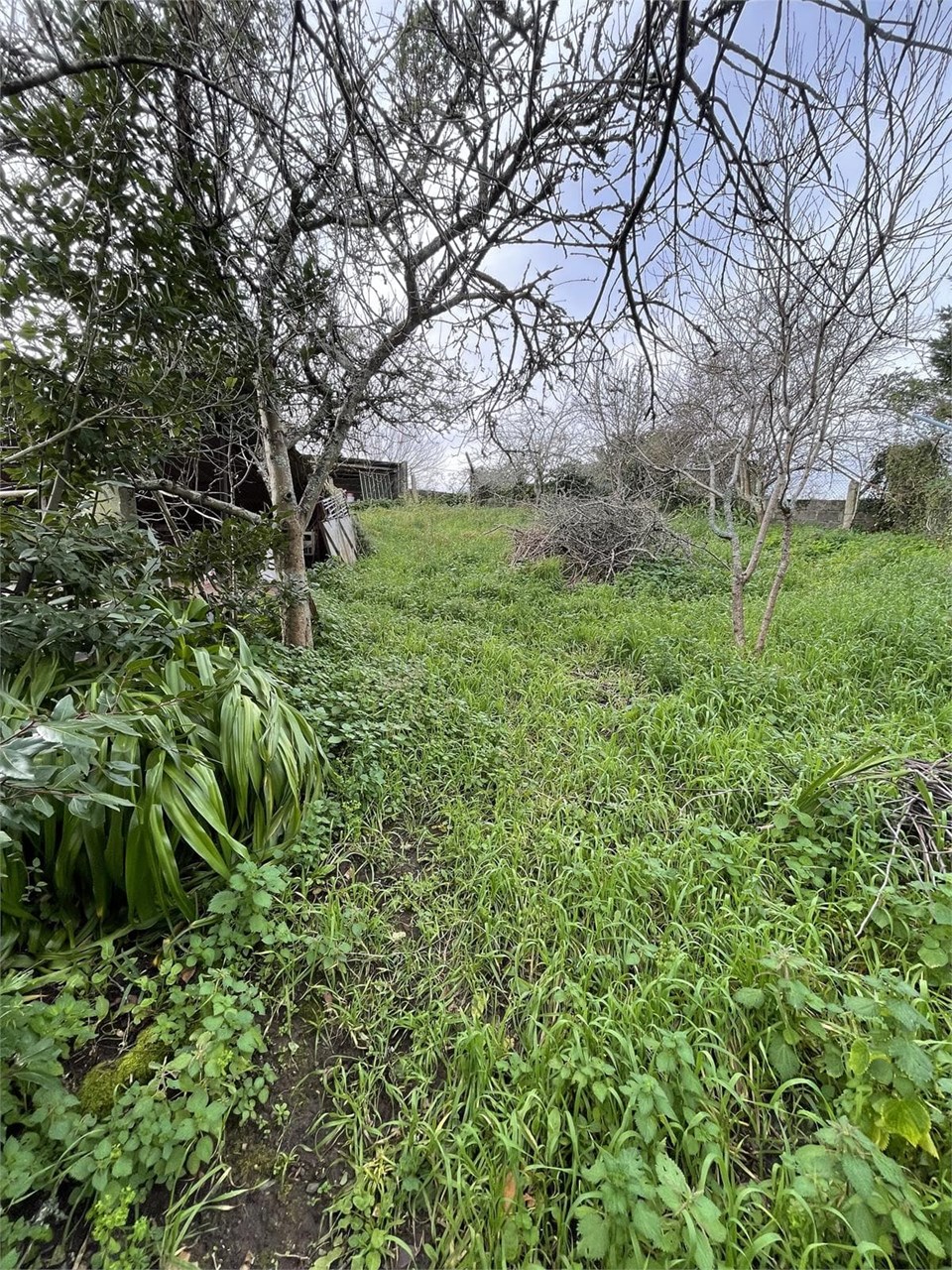 Foto 17 Beade. Casa 2 plantas mas buhardilla. Terreno 600m2