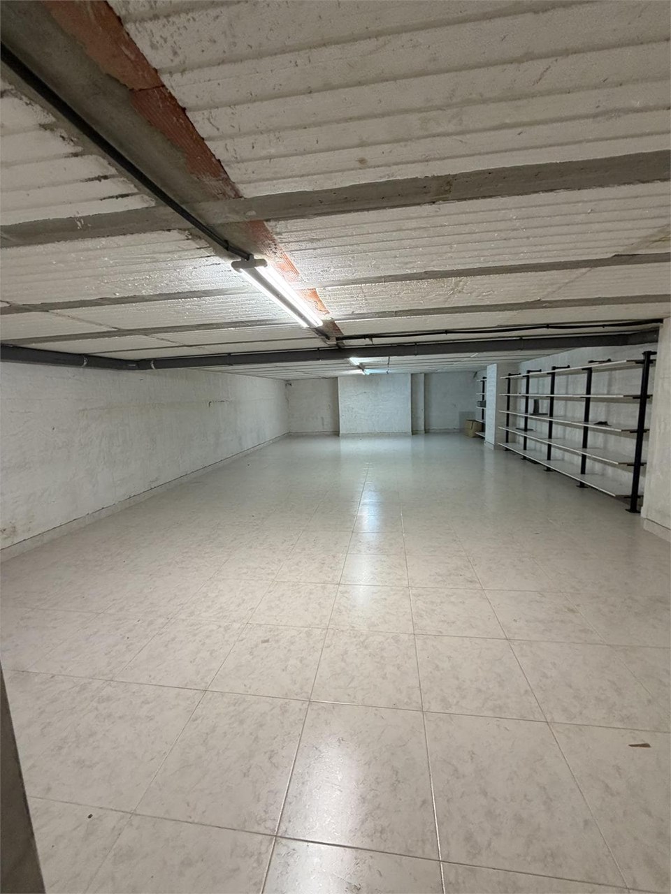 Foto 12 Camelias (Zona Plaza Independencia), acondicionado, bajo de 200m2+sótano 60m2