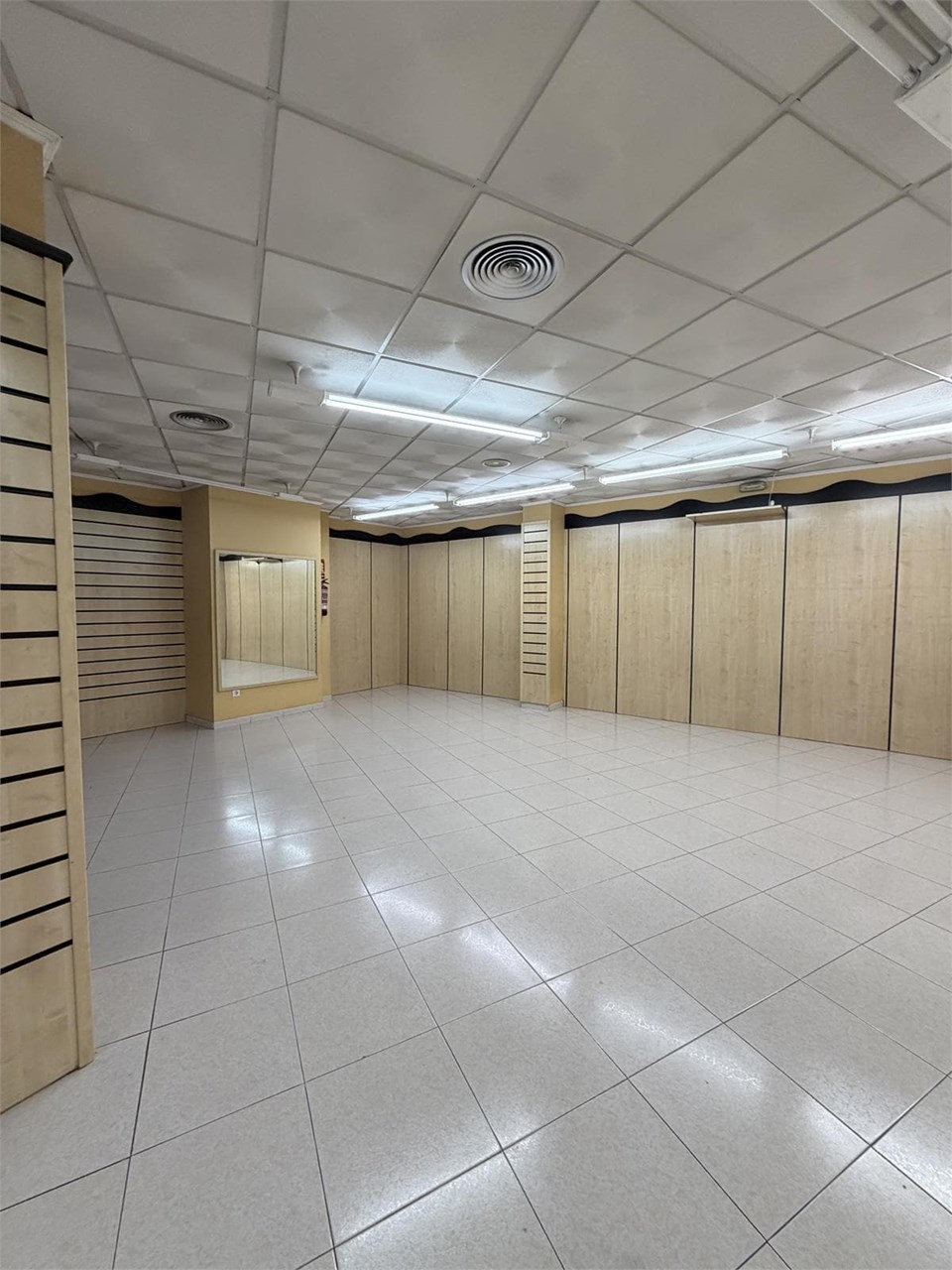 Foto 5 Camelias (Zona Plaza Independencia), acondicionado, bajo de 200m2+sótano 60m2