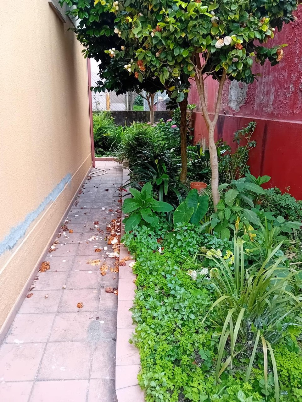 Foto 12 Zona Martínez Garrido - Lavadores, amueblado, 2 dormitorios